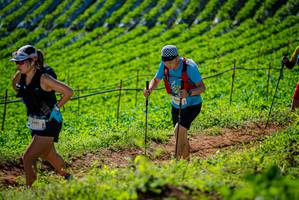 BIB: 3401
                            <button type="button" onclick="openModal(19162063)" class="btn btn-primary btn-sm float-right btn-popup" data-toggle="modal" data-target=".modal-high-quality">
                        <i class="fas fa-shopping-cart"></i> Add to Cart
                    </button>
                                            <button type="button" onclick="isThisMe(19162063, true)" class="btn btn-success btn-sm float-right btn-popup btn-isme hidden" data-toggle="tooltip" data-placement="bottom" title="นี่คือรูปของคุณใช่ไหม คลิกที่นี่เพื่อเอาเข้าอัลบั้ม">
                        <i class="fas fa-plus"></i> Add to album
                    </button>
                    <button type="button" onclick="isThisMe(19162063, false)" class="btn btn-warning btn-sm float-right btn-popup btn-isnotme hidden">
                        <i class="fas fa-ban"></i> Remove from album
                    </button>